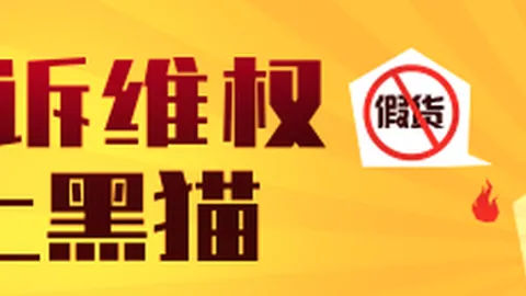 切尔西对阵富勒姆赛事：官方揭露球迷违规行为指控详情